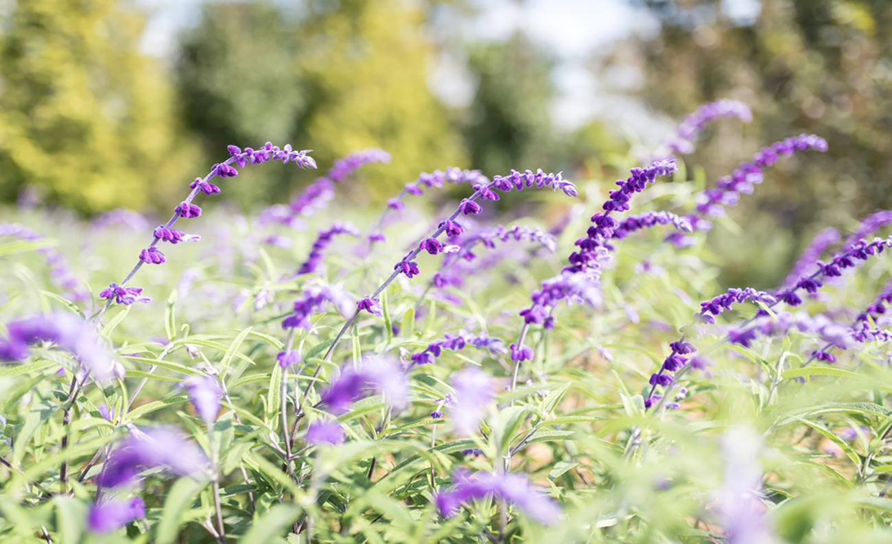 자연과 하나되는 그리너리 라이프